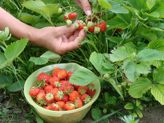 Similar image 21990246