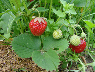 Similar image 21990248