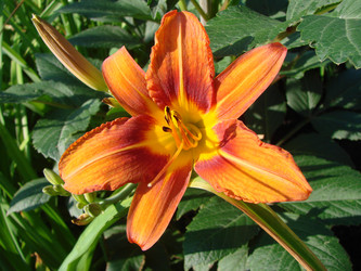 Similar image 21990250