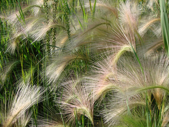 Similar image 21990252