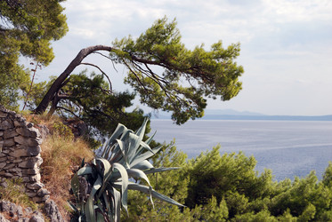 Similar image 21990268