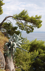 Similar image 21990269