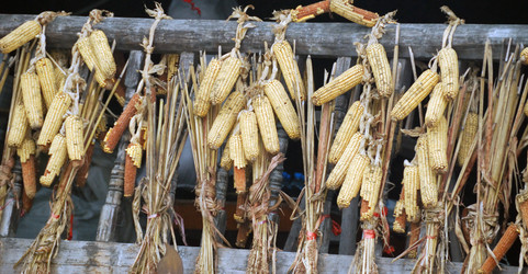 Similar image 21990283