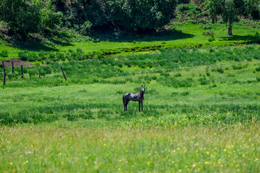 Similar image 21990574