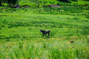 Similar image 21990576