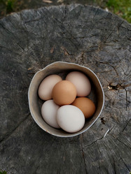 Similar image 21990645