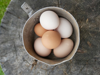 Similar image 21990647