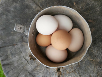 Similar image 21990648