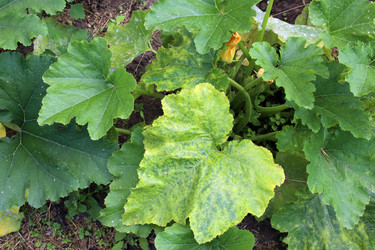 Similar image 21989472