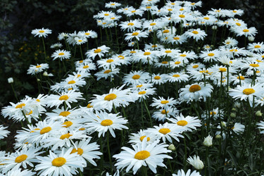 Similar image 21989475