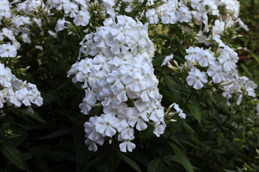 Similar image 21989476