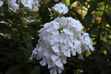 Similar image 21989477