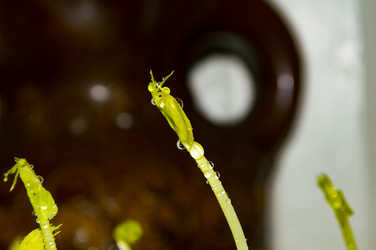 Similar image 21989358