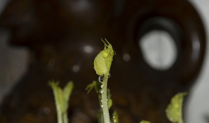 Similar image 21989359