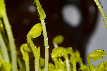 Similar image 21989360