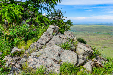 Similar image 21990653