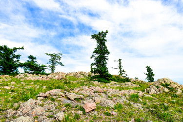 Similar image 21990654