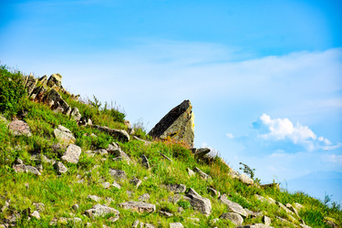 Similar image 21990659