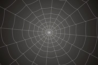 Similar image 21990049