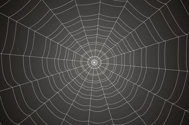 Similar image 21990052