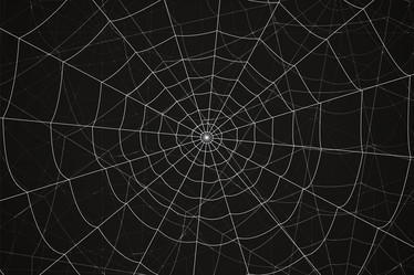 Similar image 21990054