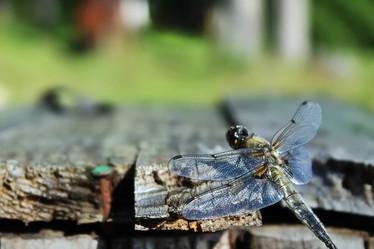 Similar image 21990084