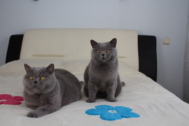 Similar image 21989495