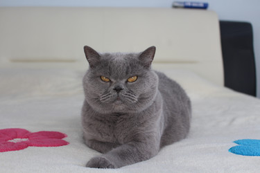 Similar image 21989496