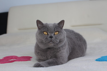 Similar image 21989497