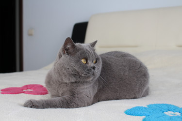 Similar image 21989498