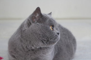 Similar image 21989499