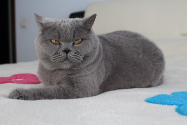 Similar image 21989500