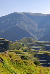 Similar image 21990294