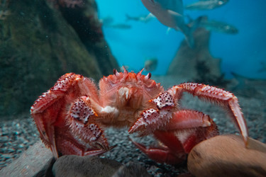 Similar image 21990298