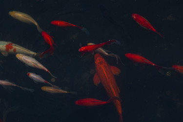 Similar image 21990299