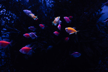 Similar image 21990334