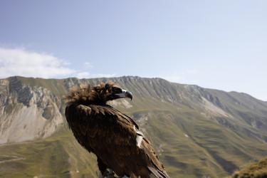 Similar image 21990337