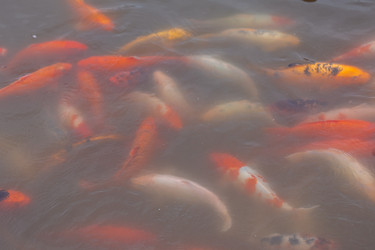 Similar image 21990338