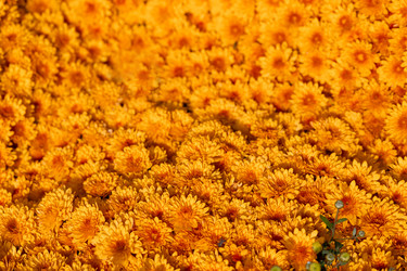 Similar image 21990346