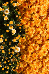 Similar image 21990349