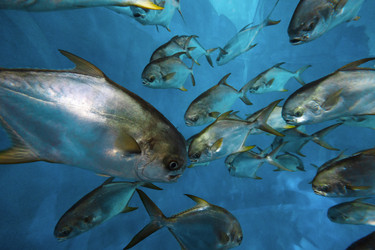 Similar image 21990352