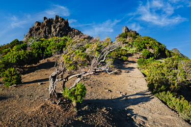 Similar image 21990088