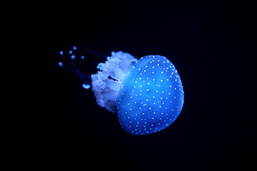 Similar image 21990091