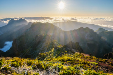 Similar image 21990092