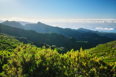 Similar image 21990313