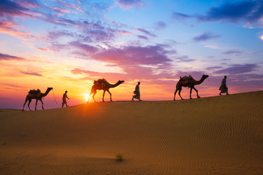 Similar image 21990314