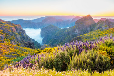 Similar image 21990317