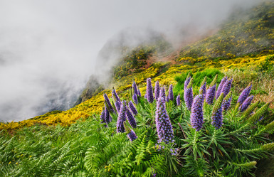 Similar image 21990320