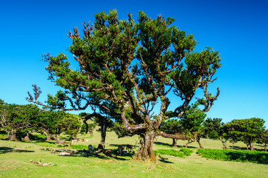 Similar image 21990329