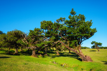 Similar image 21990332